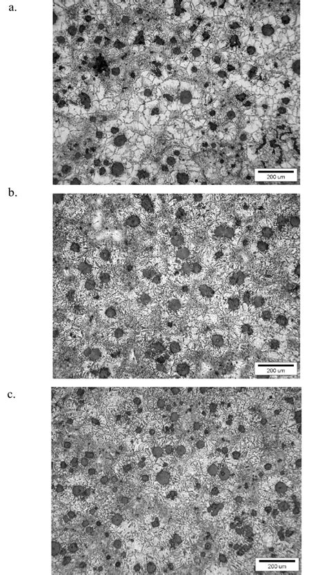 presents the typical microstructure of ductile iron as cast. It... | Download Scientific Diagram