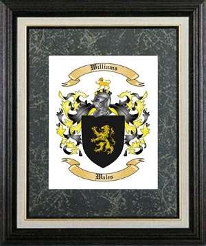 Spanish Coat of Arms and Spanish Family Crest