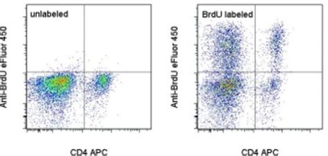 eBioscience™ BrdU Staining Buffer Set for Flow Cytometry