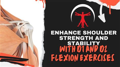 Enhance Shoulder Strength and Stability with D1 and D2 Flexion ...