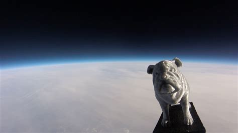 Gonzaga engineering students send school mascot Spike 96,000 feet high ...