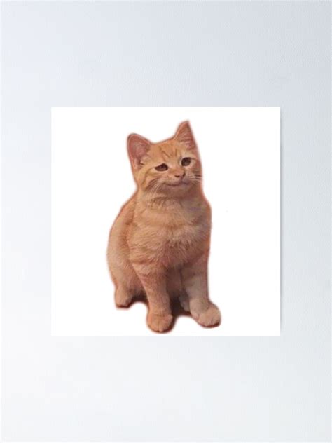 "Skeptical Meme Cat with a Funny Face" Poster by BigSales4U | Redbubble