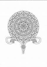 Uterus Coloring Page Pages sketch template