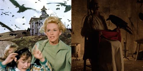 10 Best Horror Movies About Birds