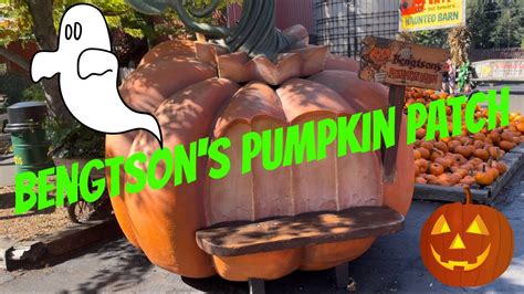 We Went To Bengtson’s pumpkin patch 2022 - YouTube