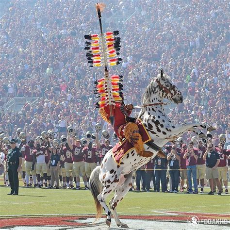 Chief Osceola and Renegade --- Seminoles! | Florida state football ...