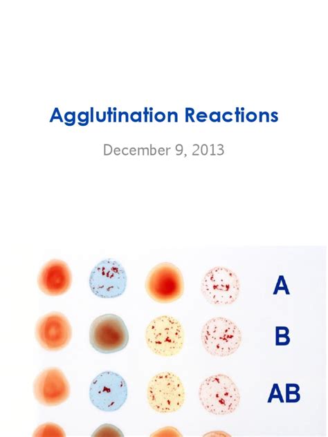 Agglutination Reactions | Antibody | Red Blood Cell