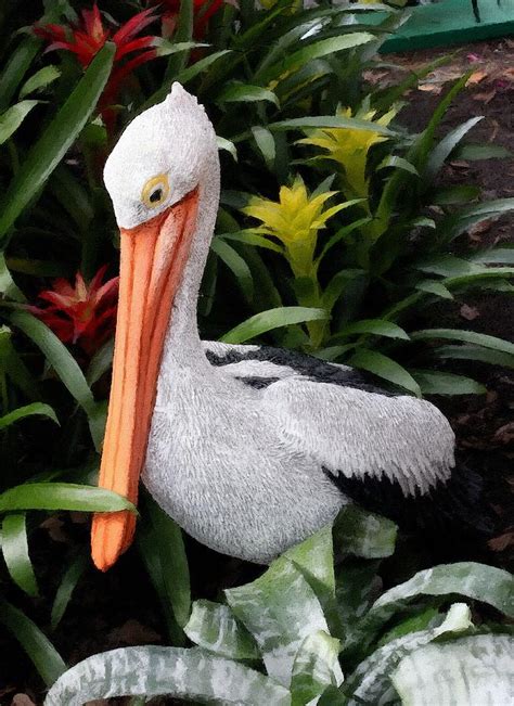 Pelican Statue Photograph by Donald Hill - Fine Art America