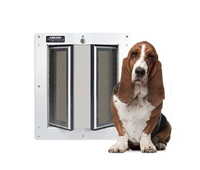 Smart Dog Doors: Features and Reasons Why You'll Need One | Dog ...