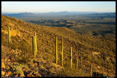 » Sonoran Desert National Monument Guide - from QT Luong's Blog