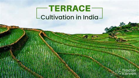 What is Terrace Cultivation, Use and Benefits - Tractorkarvan