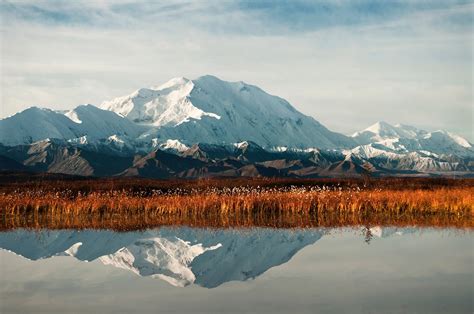 Landscape and reflection of Denali in Denali National Park, Alaska ...