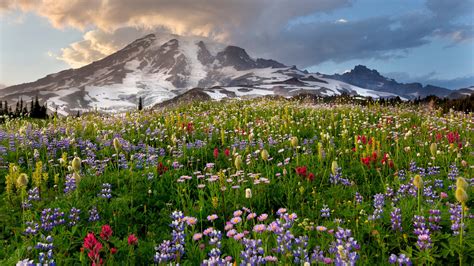 Mount Rainier · National Parks Conservation Association