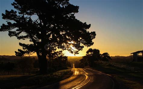 Old country road at sunset stock image. Image of evening - 161271273