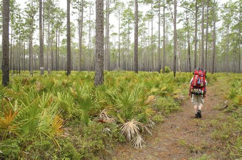 Hiking the Florida National Scenic Trail