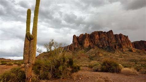 Arizona summer heat wave could set new record for most heat-associated deaths in big metro