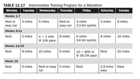 Cardiovascular Endurance Exercise Plan | EOUA Blog