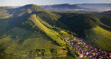 Visit the Alsace vineyards - wine tourism