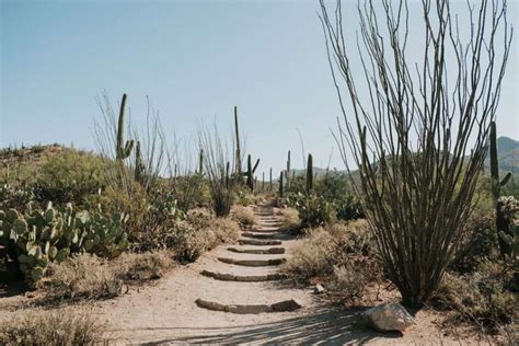 11 Best Tucson Hiking Trails