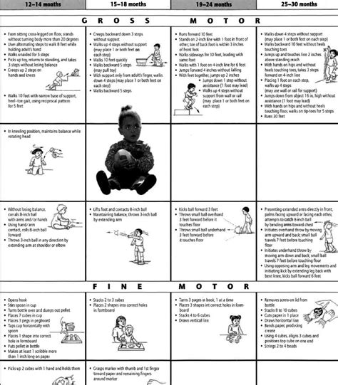 Printable Peabody Motor Development Chart - Printable Word Searches