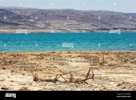 Jordan River Baptism site Stock Photo - Alamy