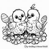 Easter Chick Coloring Pages  Free & Printable sketch template