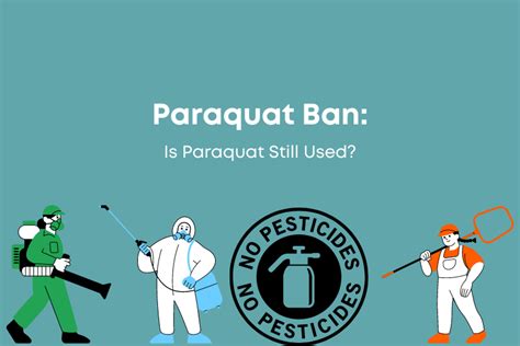 Paraquat Ban: Is Paraquat Still Used? • Drugwatcher.org