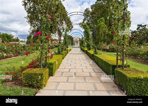 Beautiful Rose Garden of the Huntington Library Stock Photo - Alamy