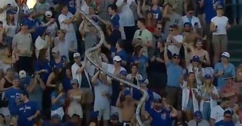 WATCH: Cubs fans form ridiculously long 'beer snake' at Wrigley Field ...