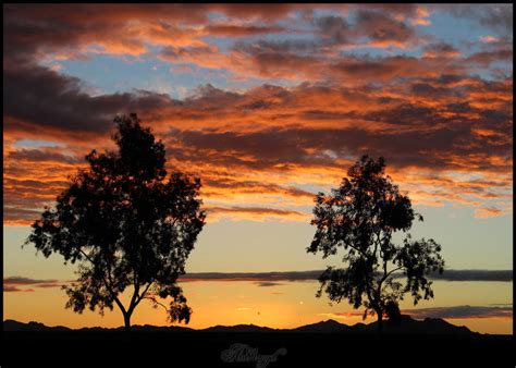 Arizona Sunrise 3/9 by an81angel on DeviantArt