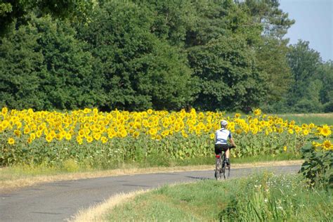 Cycling Holidays in France - Loire Valley Cycling Holidays