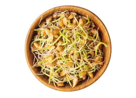 Whole Wheat Sprouts, Germinated Wheat Seeds in Wooden Bowl Isolated on White Background ...