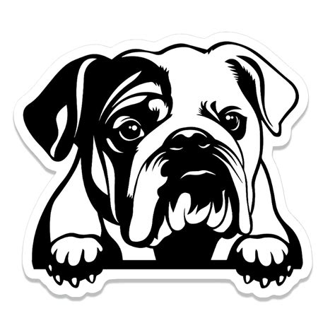 Buy Peeking English Bulldog Sticker (2 Pack) 4” x 3.5” Peeking Bulldog ...