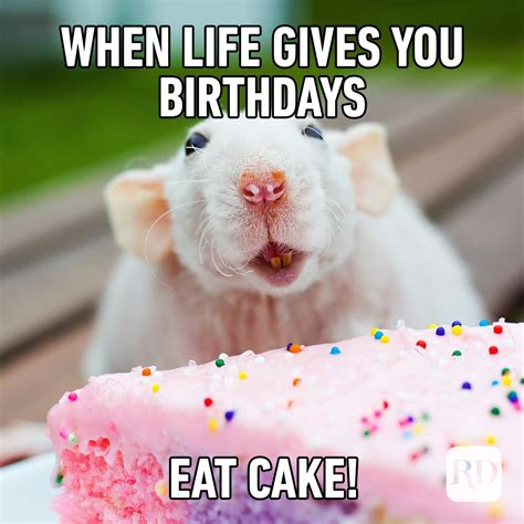 52 Funny Birthday Memes That Will Make Anyone Smile on Their Big Day