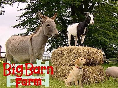 Watch Big Barn Farm | Prime Video