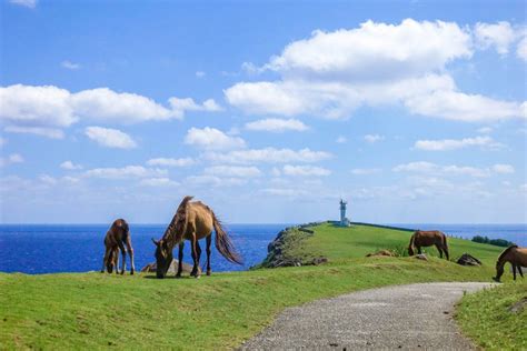 Yonaguni Island | VISIT OKINAWA JAPAN | Official Okinawa Travel Guide