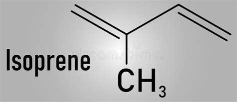 Isoprene, Rubber, Polyisoprene, Building Block, Monomer. Skeletal ...