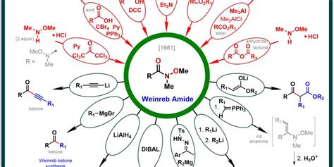 Weinreb amide made by Roman A. Valiulin with ChemDraw | Organic chemistry books, Organic ...