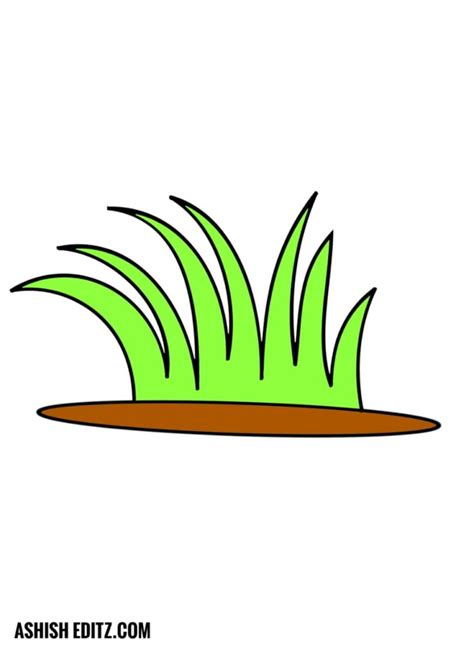 Grass Drawing for kids [ 5 STEPS] -ASHISH EDITZ