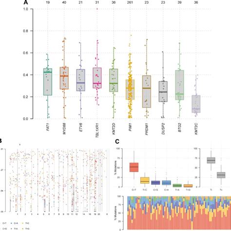 Visualization of the type and location of gene mutations. (A) Gene ...