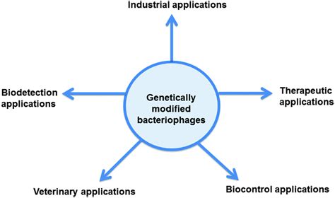 Genetically modified bacteriophages - Integrative Biology (RSC ...