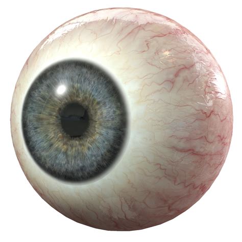 creepy eye png 20 free Cliparts | Download images on Clipground 2024