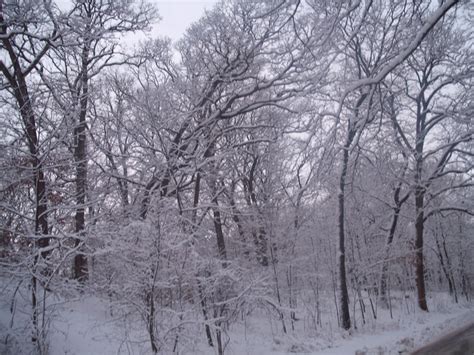 Winter in Iowa. | Scenery, Iowa, Winter white