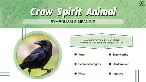 Crow Spirit Animal Symbolism and Meaning - A-Z Animals