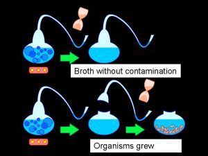 Spontaneous Generation - https://biologydictionary.net/spontaneous-generation/ Science Skills ...