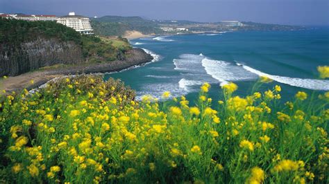 7 Top Attractions in Jeju Island - South Korea, You must Visit ! | Airpaz Blog