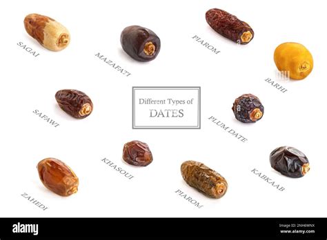 Different types of Dates Single with Name Stock Photo - Alamy