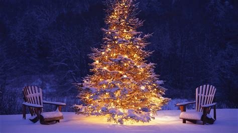 Christmas Tree Desktop Wallpapers - Wallpaper Cave