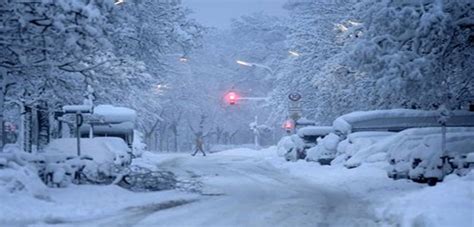 A Snowstorm Brings Munich Airport to a Standstill and Causes Travel ...