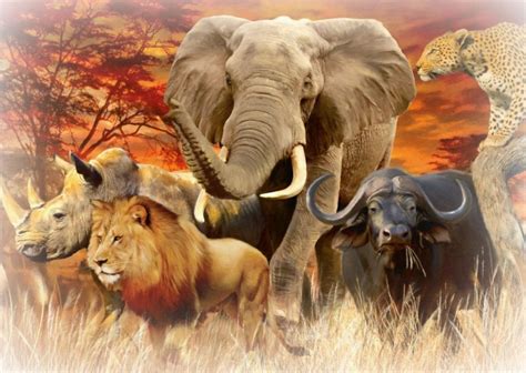 Animales de la Sabana Africana【 Fauna, Clima, Plantas, Flora 】2024